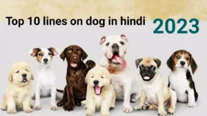 lines on dog in hindi