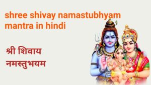 shree shivay namastubhyam mantra in hindi 