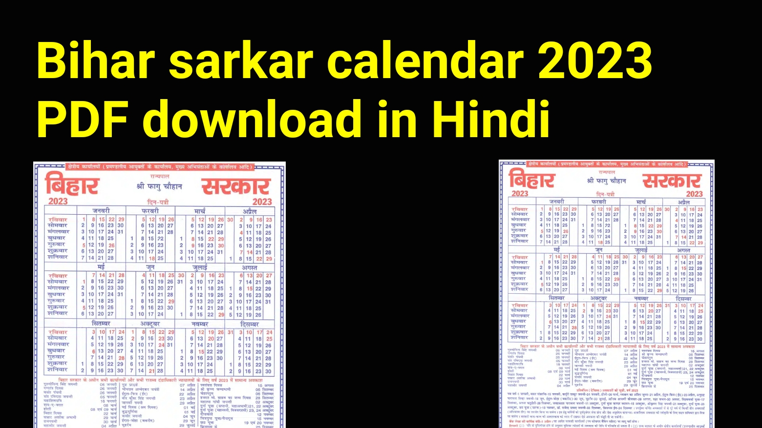 Bihar Sarkar Calendar 2025 Pdf Free Download In Hindi 